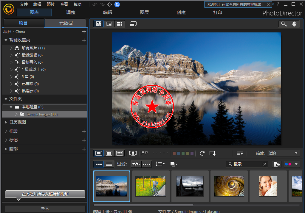 photodirector 10 photodirector 10