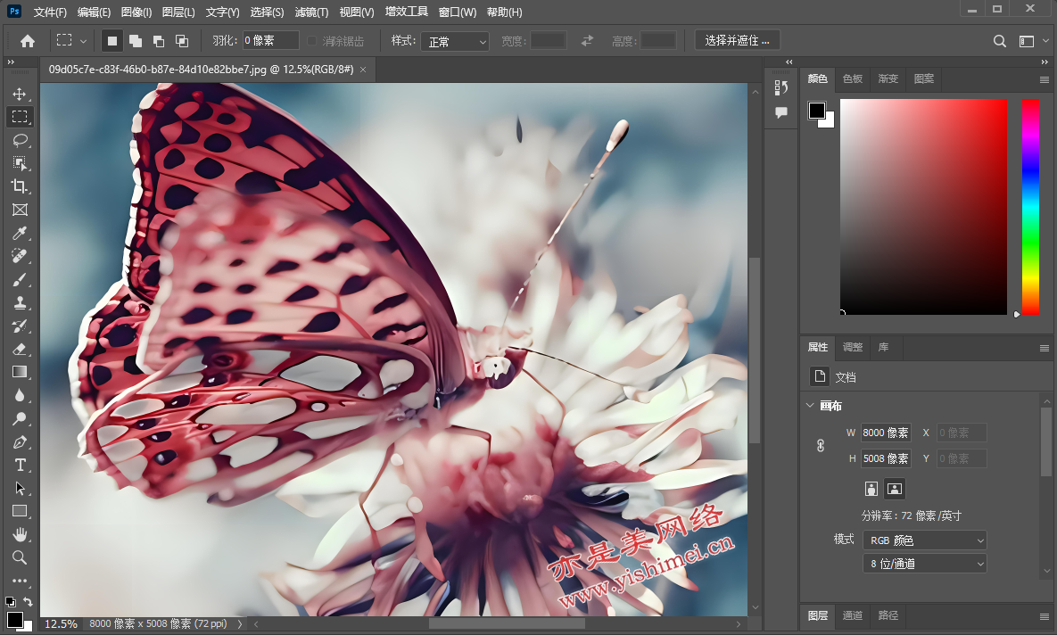专业图片编辑与处理软件Adobe 2024 v25.5.0.375中文版的下载、安装与注册激活教程